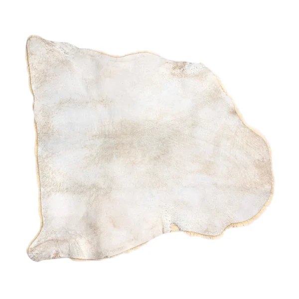 Flat laid-out view of an entire medical-grade sheepskin.